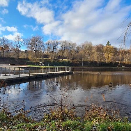 Apartament Le Salmoyard, Studio Au Bord Du Lac A Vielsalm Zewnętrze zdjęcie