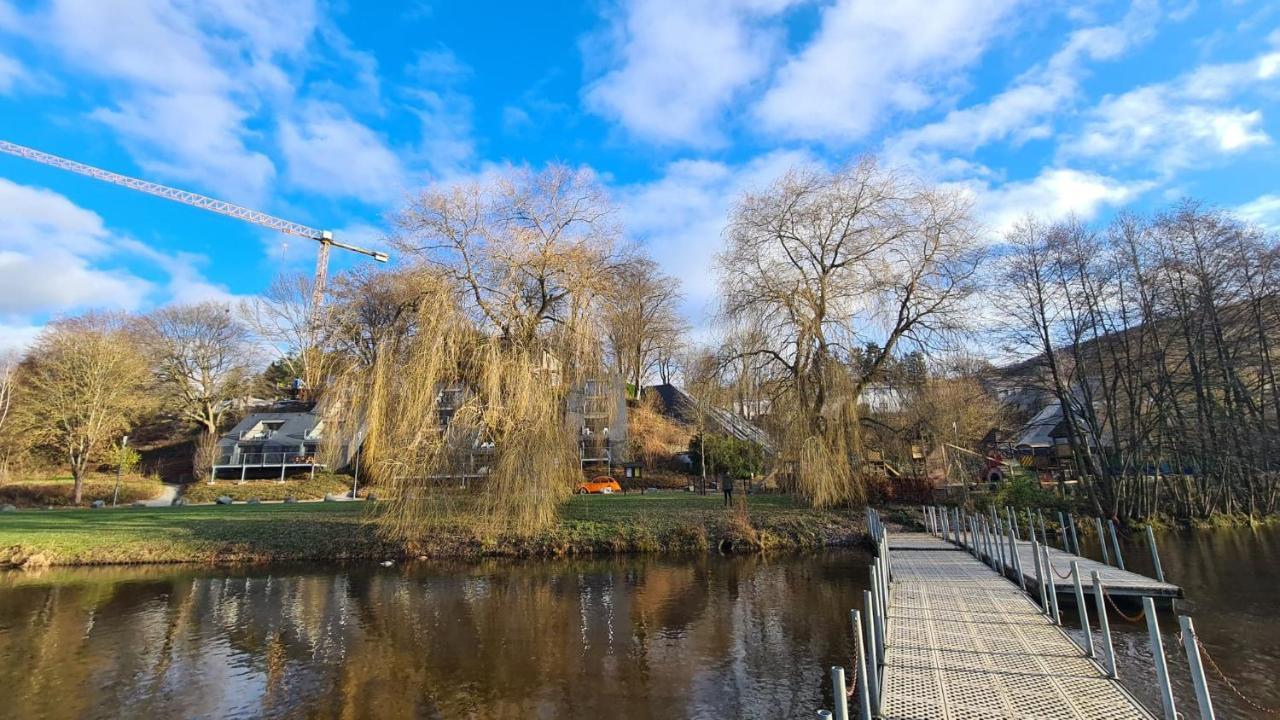 Apartament Le Salmoyard, Studio Au Bord Du Lac A Vielsalm Zewnętrze zdjęcie