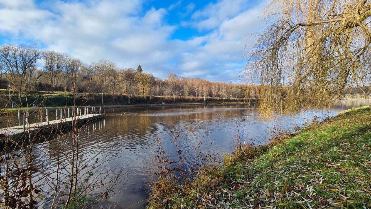 Apartament Le Salmoyard, Studio Au Bord Du Lac A Vielsalm Zewnętrze zdjęcie