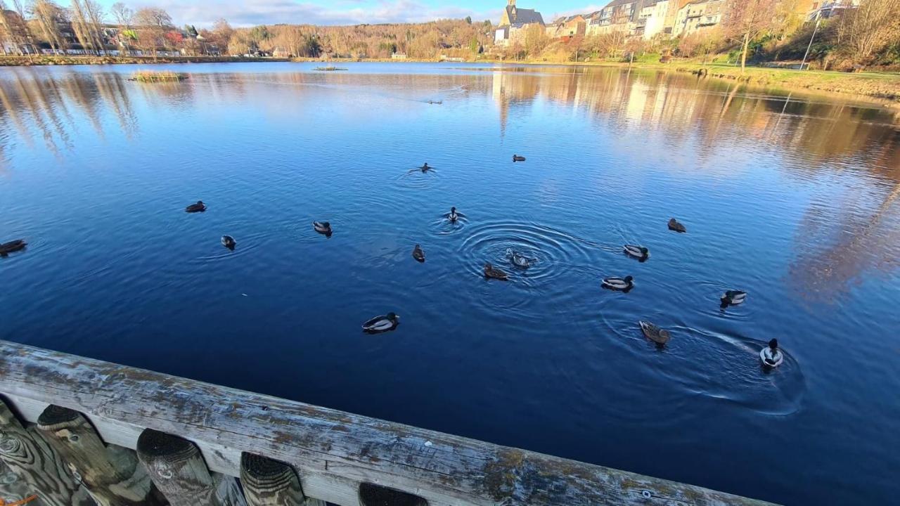 Apartament Le Salmoyard, Studio Au Bord Du Lac A Vielsalm Zewnętrze zdjęcie