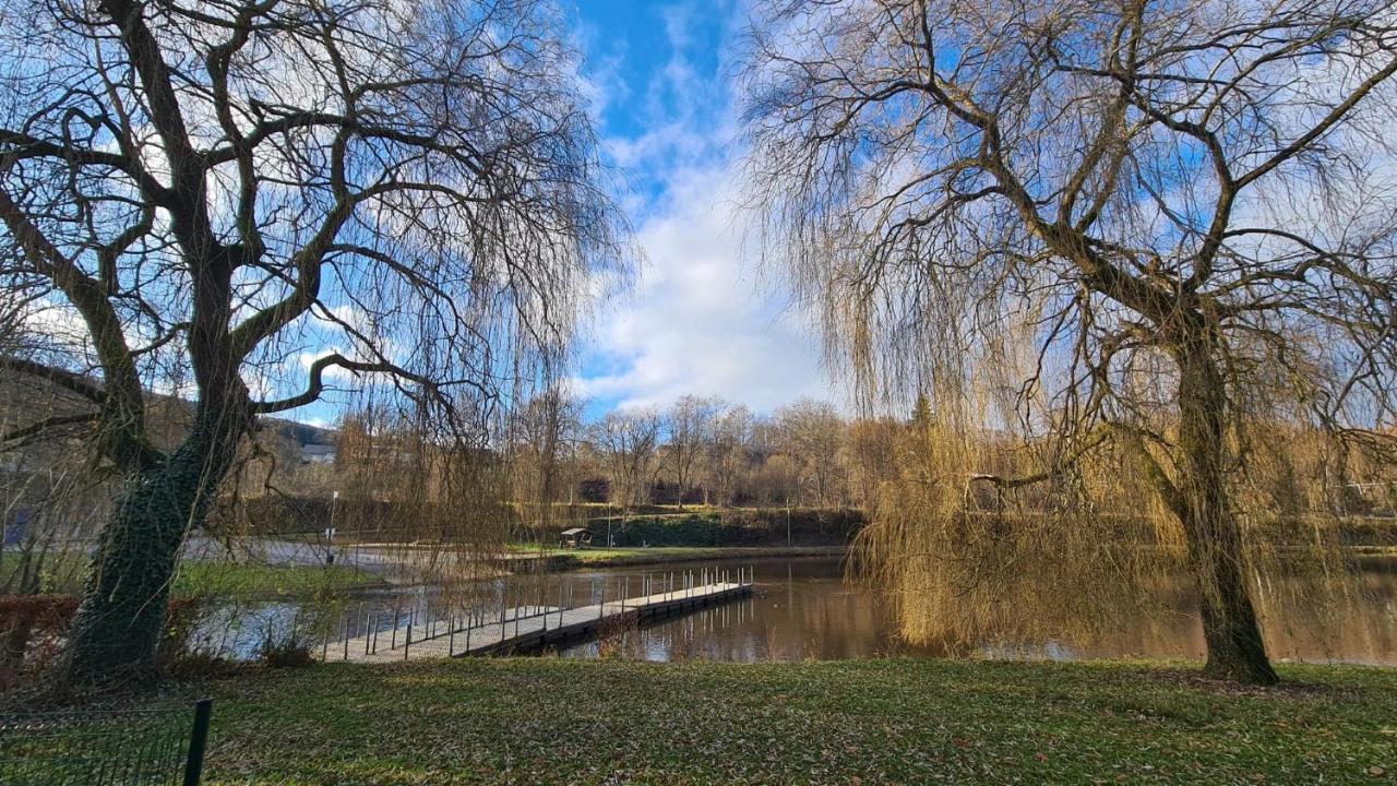 Apartament Le Salmoyard, Studio Au Bord Du Lac A Vielsalm Zewnętrze zdjęcie