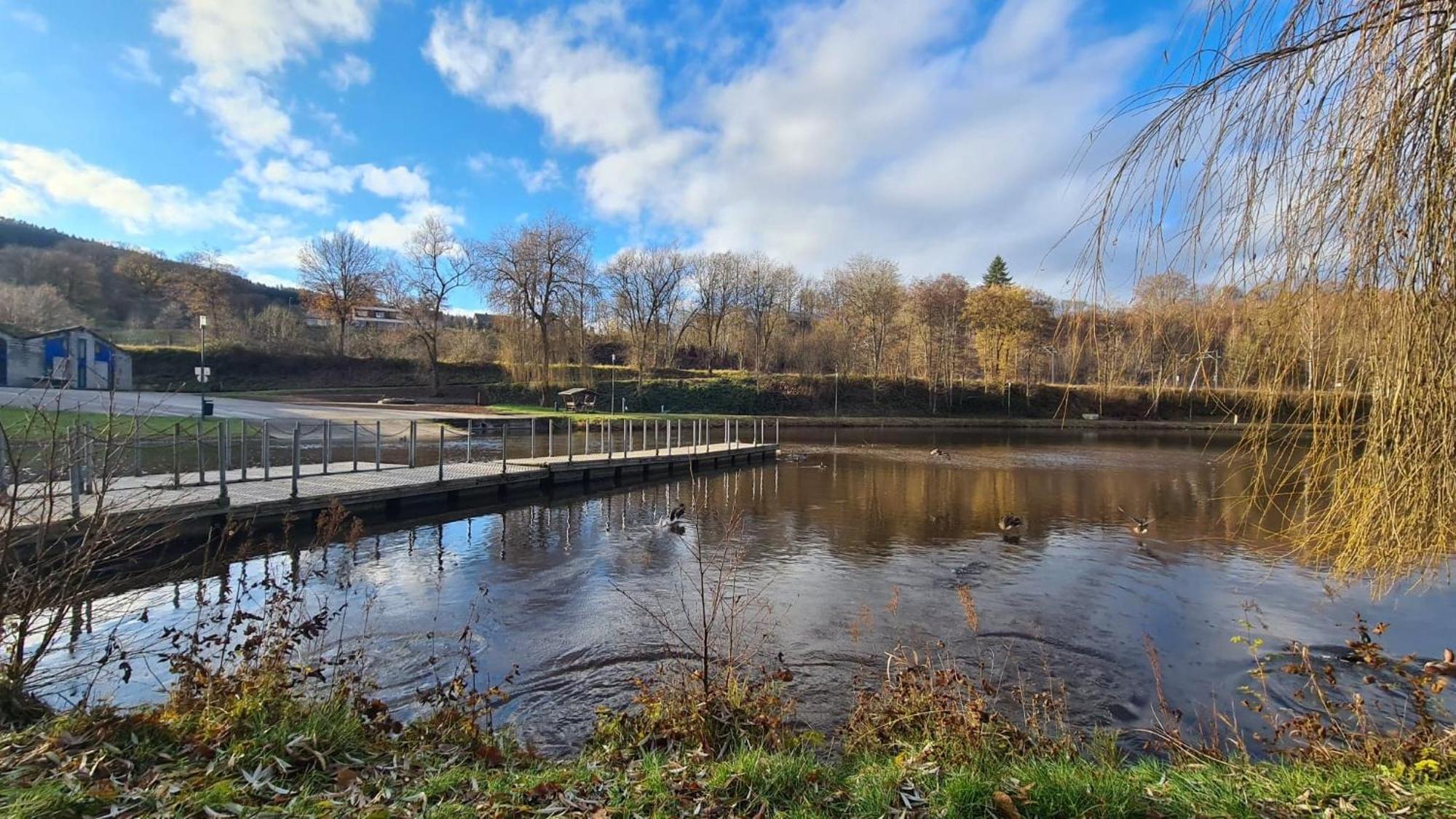 Apartament Le Salmoyard, Studio Au Bord Du Lac A Vielsalm Zewnętrze zdjęcie